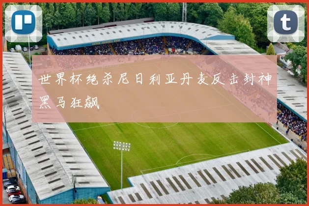 世界杯绝杀尼日利亚丹麦反击封神黑马狂飙