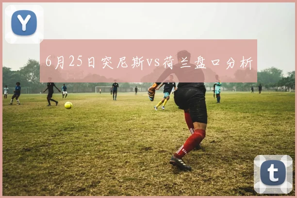 6月25日突尼斯vs荷兰盘口分析