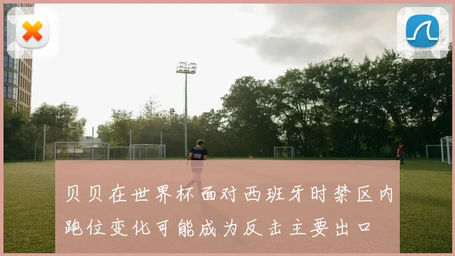 贝贝在世界杯面对西班牙时禁区内跑位变化可能成为反击主要出口