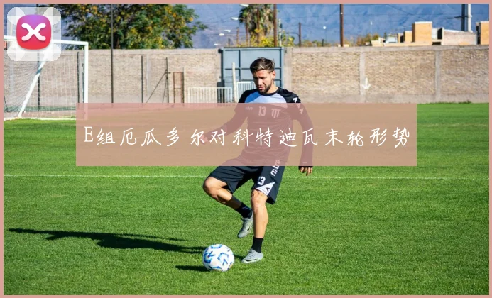 E组厄瓜多尔对科特迪瓦末轮形势
