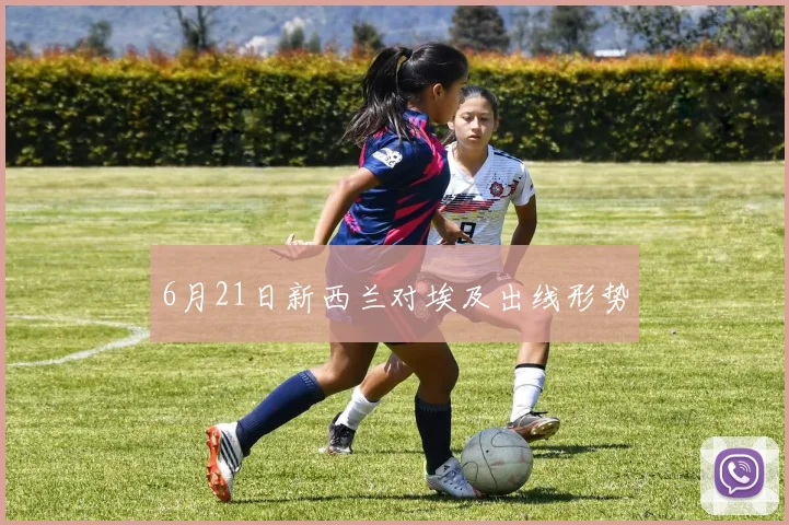 6月21日新西兰对埃及出线形势